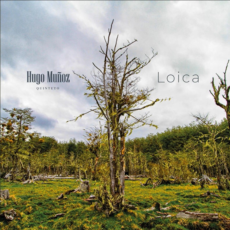 Tapa de disco Loica